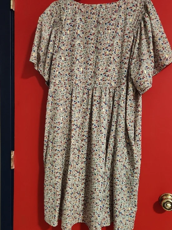 1XL Umgee Cream Floral Swing Dress with Blue and Red Accents - Picture 3 of 4